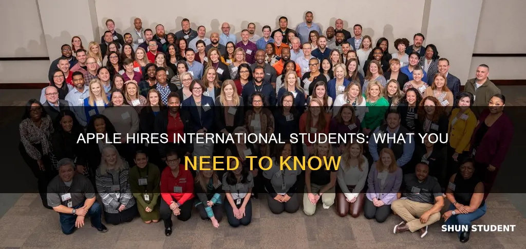 does apple hire international students