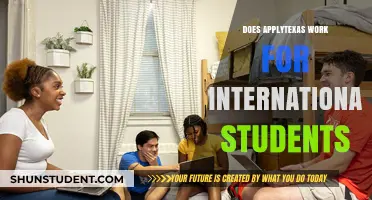 ApplyTexas for International Students: Does It Work?