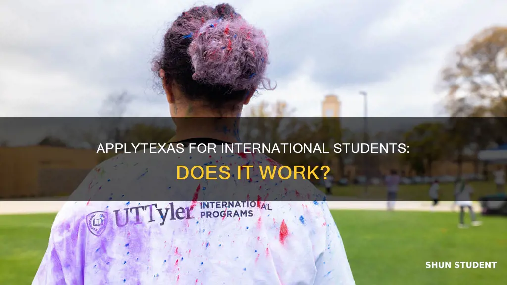does applytexas work for international students