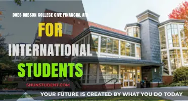 Babson College: Financial Aid for International Students?
