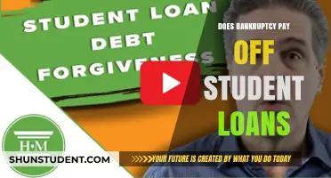 Student Loans: Can Bankruptcy Provide a Solution?