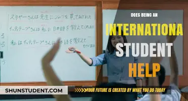 International Student Experience: A Career Advantage?
