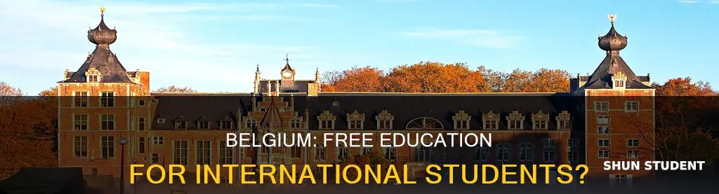 does belgium have free education for international students