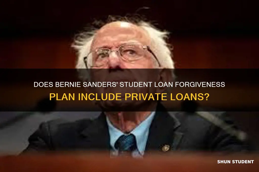 does bernie sanders student loan forgiveness cancel private student loans