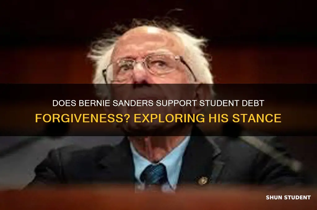 does bernie want to forgive student debt