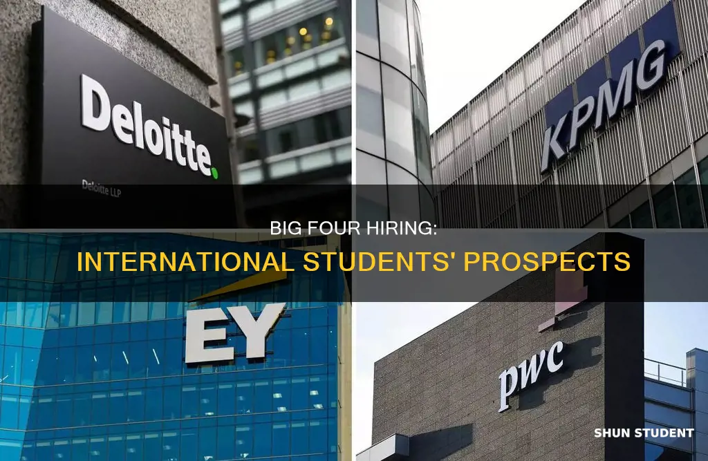 does big 4 hire international students
