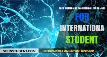 Biomedical Engineering: Global Career Opportunities