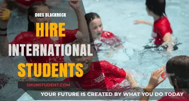 BlackRock's Hiring Policy: International Students Welcome?