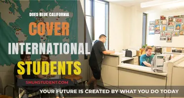 International Students: Blue California Coverage Explained