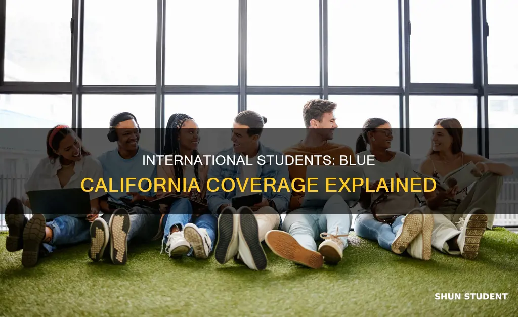 does blue california cover international students