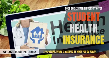 Student Health Insurance: Boise State University's Offerings Explained