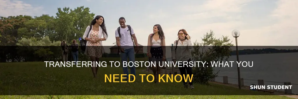 does boston university accept transfer students