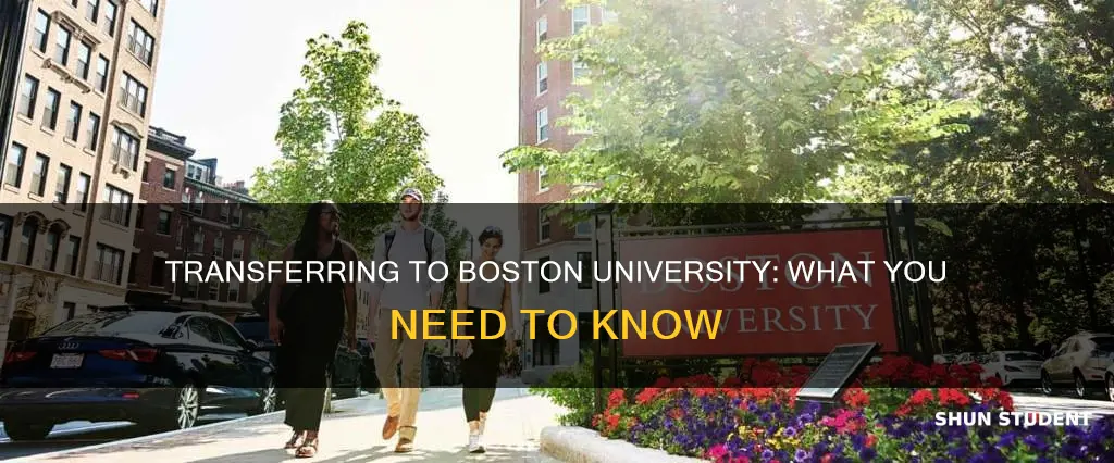 does boston university accept transfer students