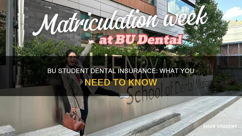 does boston university offer student dental insurance enrollment