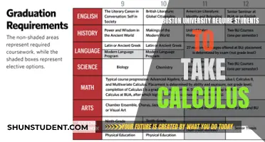 Calculus Requirements at Boston University: What You Need to Know