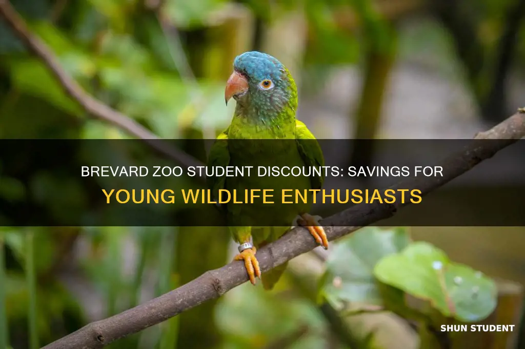 does brevard zoo have student discounts