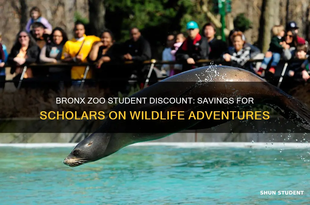 does bronx zoo have student discount
