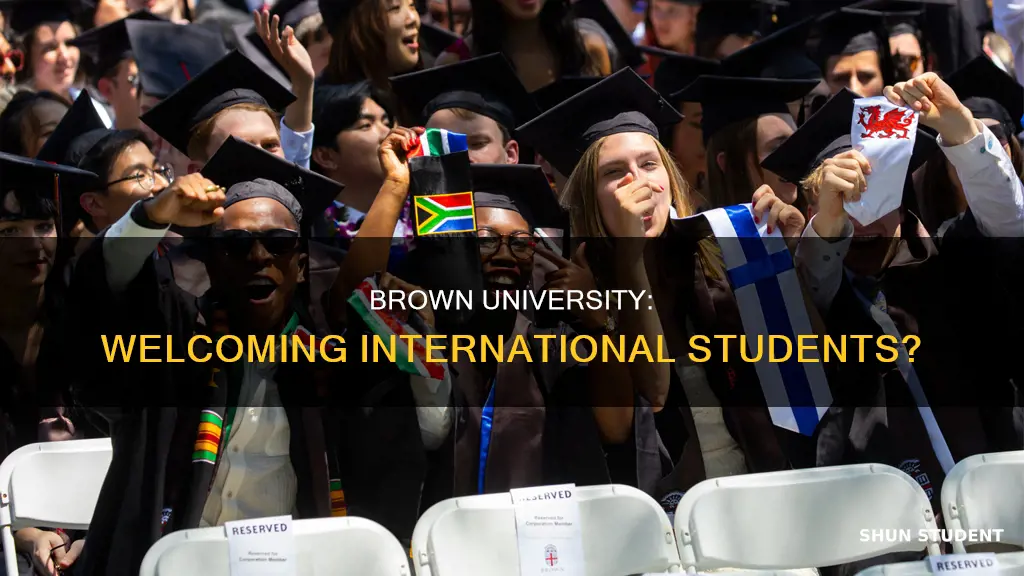 does brown admit international students