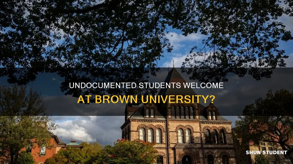 does brown university admit undocumented students