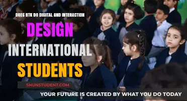 BTK's Digital and Interaction Design Courses: Open to International Students?