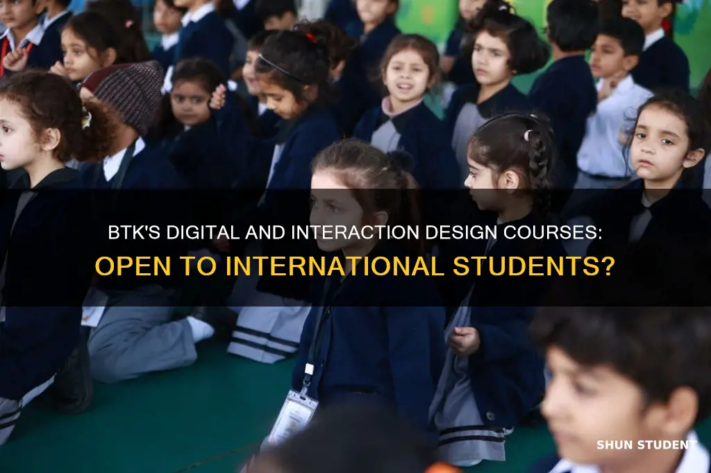 does btk do digital and interaction design international students