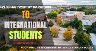 CSU Scholarships: International Students' Opportunities Explored