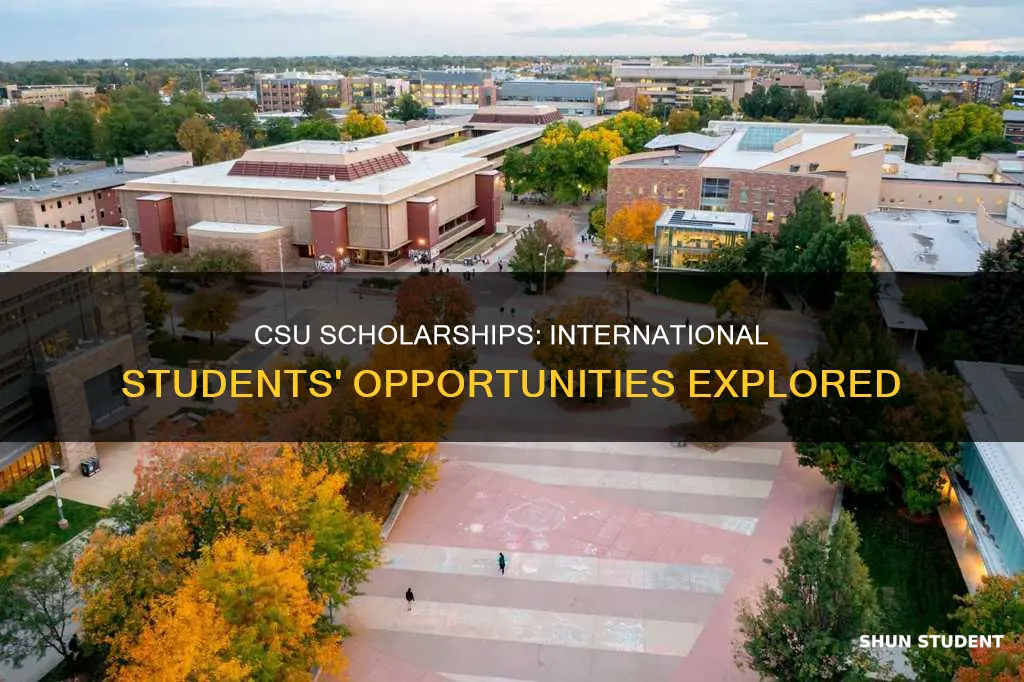 does california state university give scholarships to international students