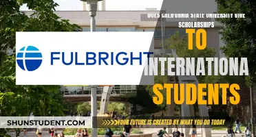 CSU Scholarships: Available for International Students?