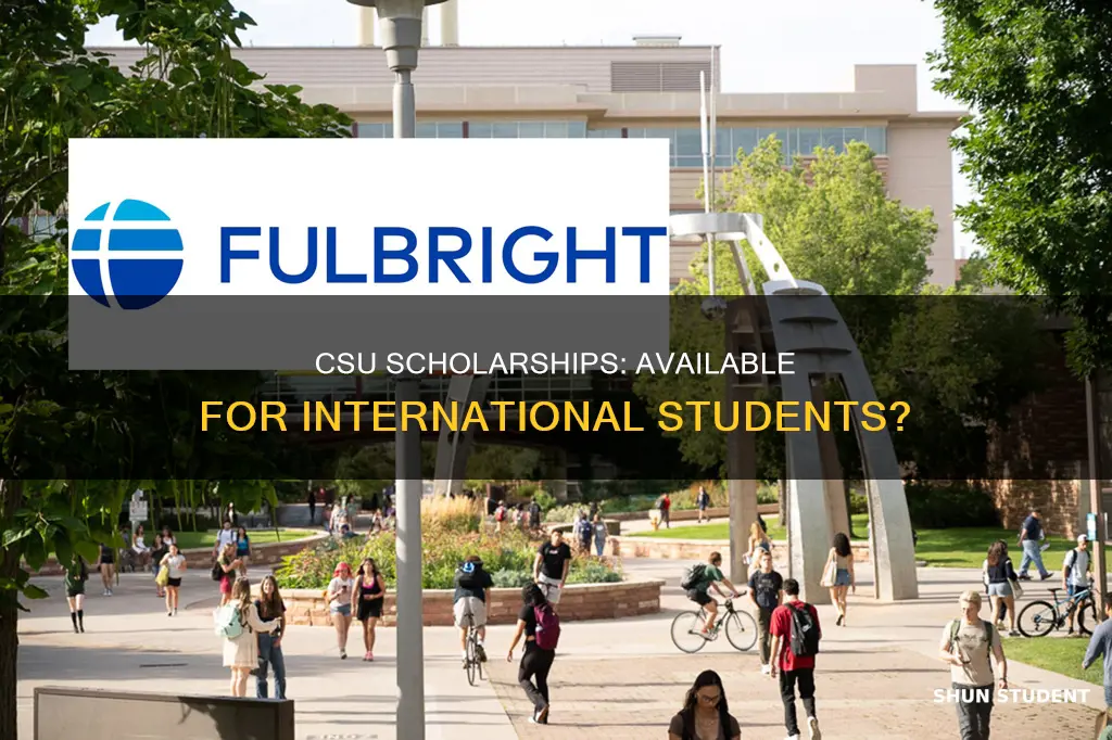 does california state university give scholarships to international students