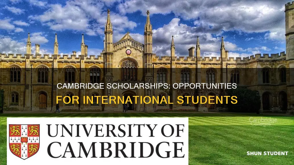 does cambridge university offer scholarships for international students