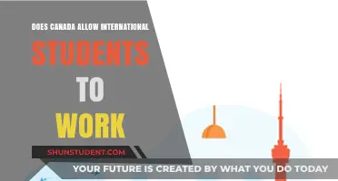 Can Foreign Students Work in Canada?