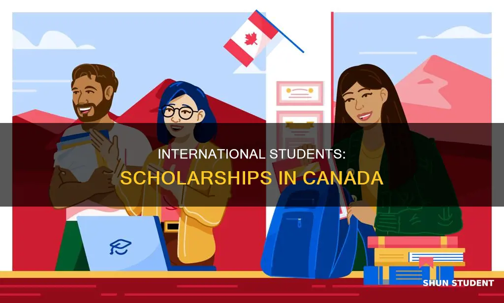 does canada give scholarships to international students