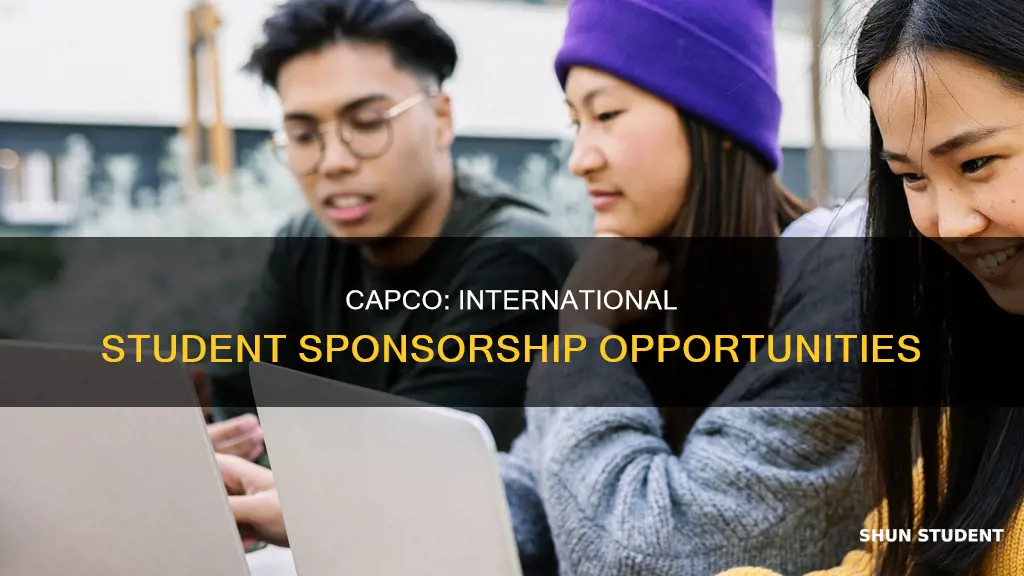 does capco sponsor international students