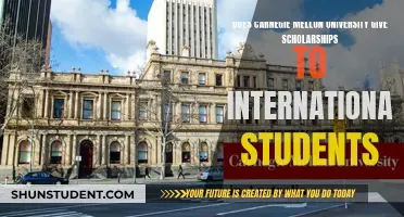 Carnegie Mellon Scholarships: International Students' Opportunities