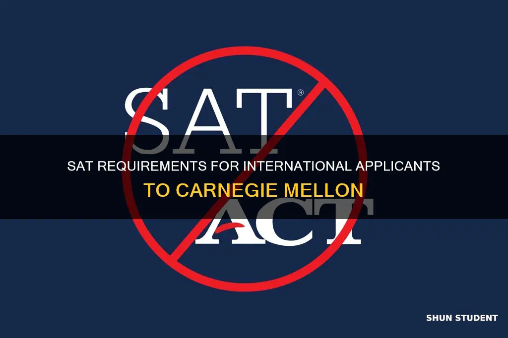 does carnegie melon require sat for international students