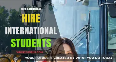 Caterpillar: A Global Student-Friendly Company?