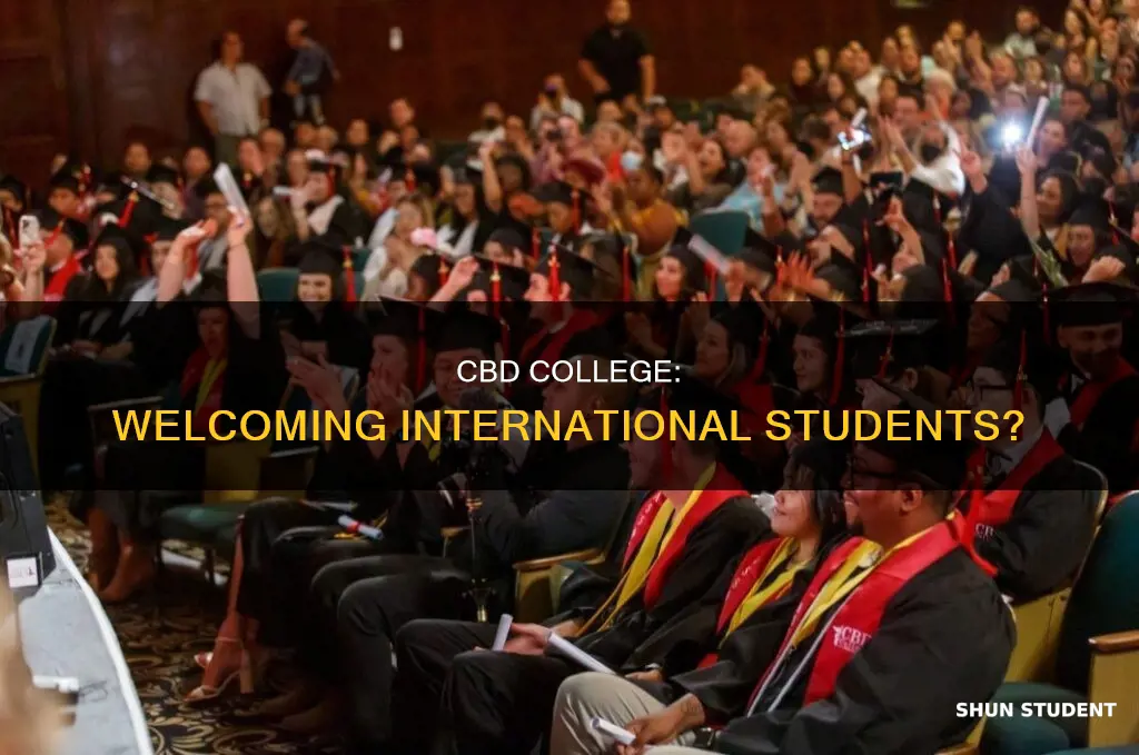 does cbd college accept international students