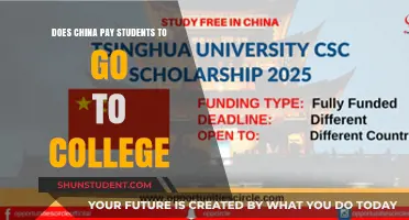 China's Incentives for College Students: Who Benefits?