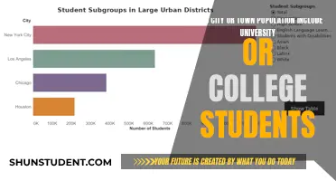 How Are City Population Numbers Calculated?