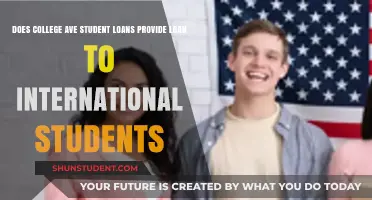 College Ave Student Loans: Options for International Students?