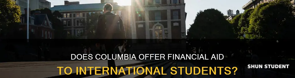 does columbia university give financial aid to international students