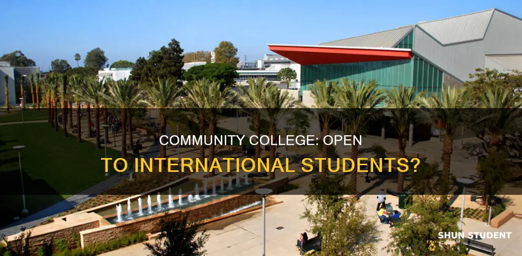 does community college accept international students