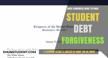 Can Congress Pass Student Debt Forgiveness? Legal and Political Insights