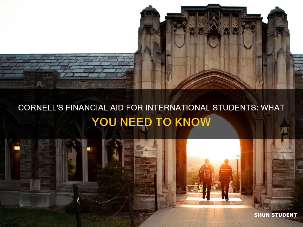 does cornell give financial aid to international students