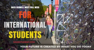 Cornell's Financial Aid for International Students: Meeting Full Need?