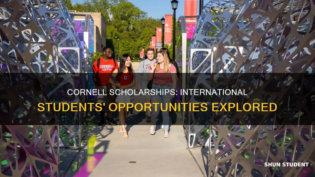 does cornell university offer scholarships to international students