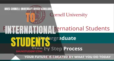 Cornell Scholarships: International Students' Opportunities