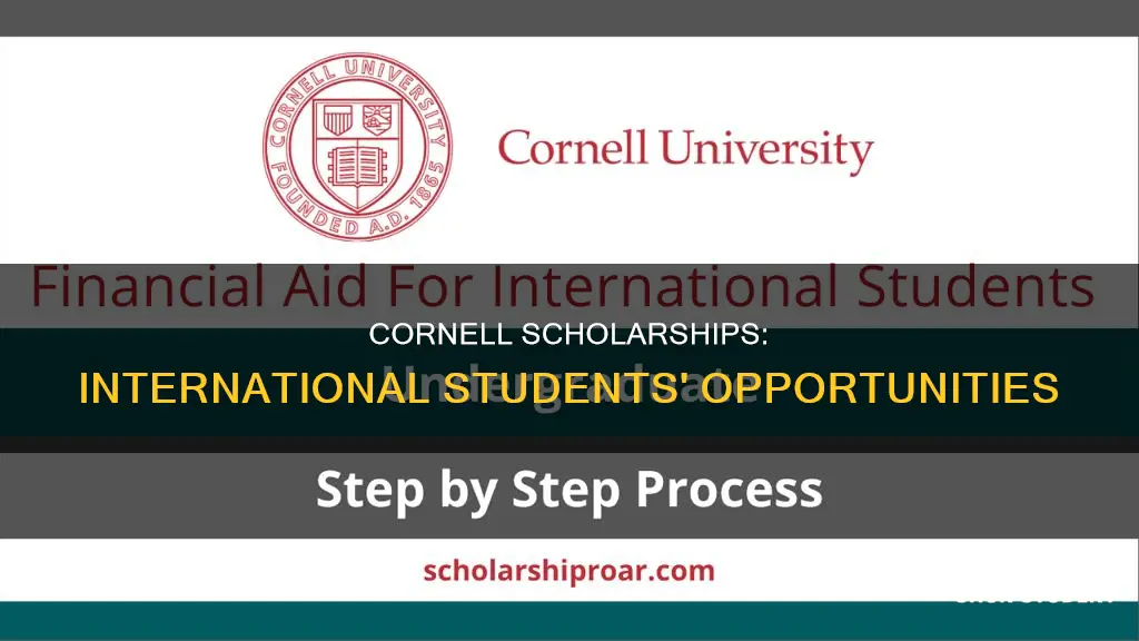 does cornell university offer scholarships to international students