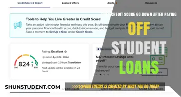 Credit Score Drop: Student Loan Payoff Impact