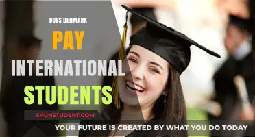 Denmark: Paid Opportunities for International Students